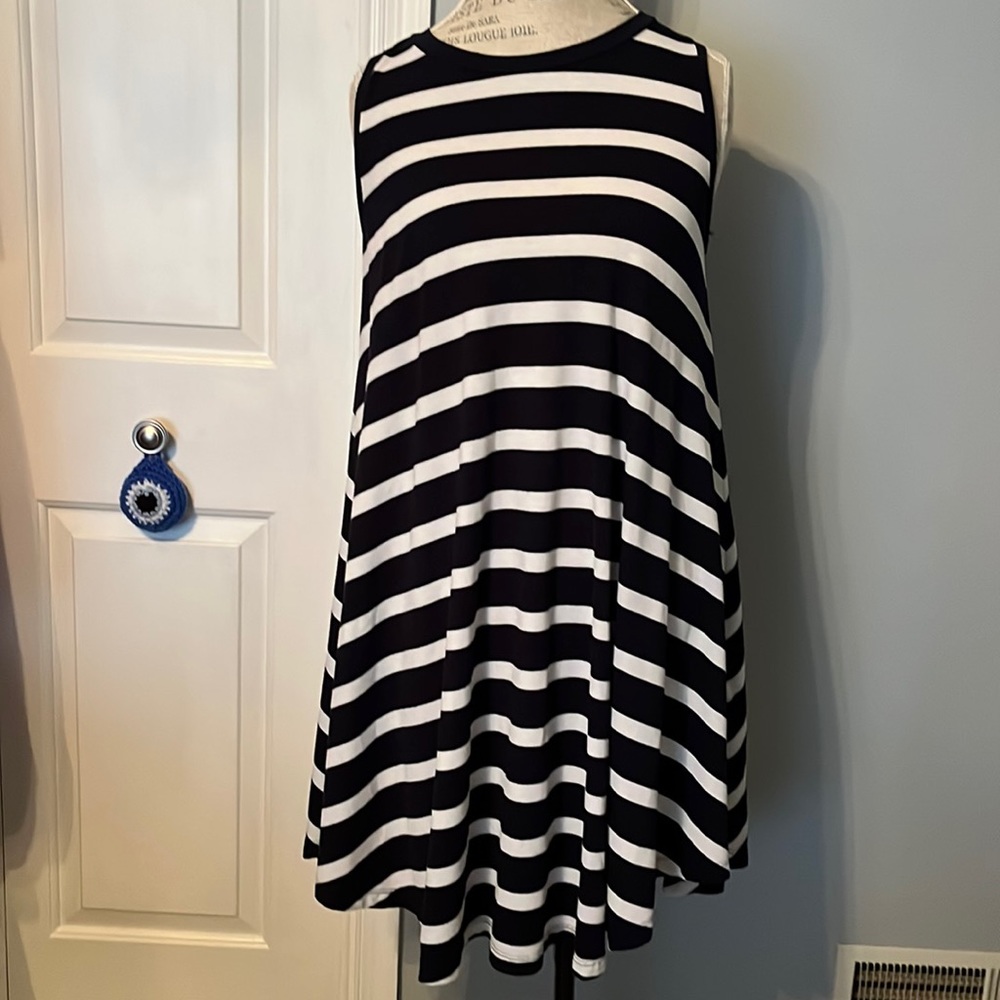 The Limited Navy and White Striped Swing Dress